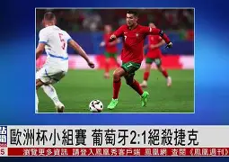 亚博app-荷兰2比三输捷克阵容