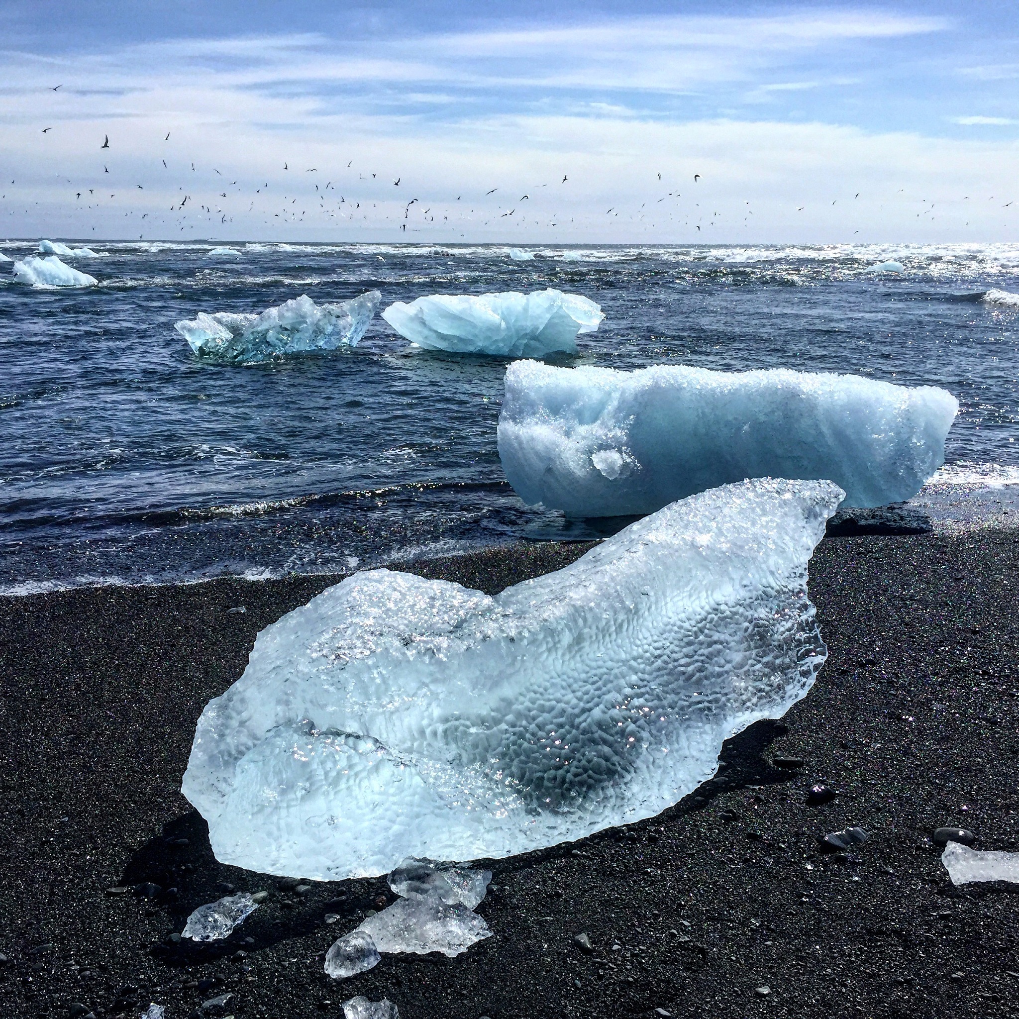 scp为什么被全网封禁