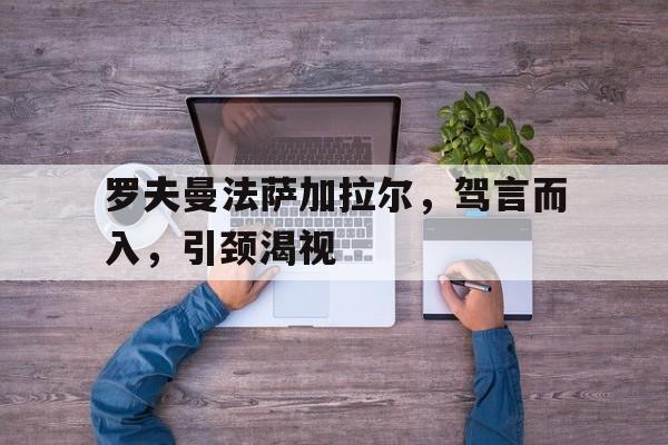 罗夫曼分类法是什么