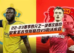 勒沃库森上一次输球