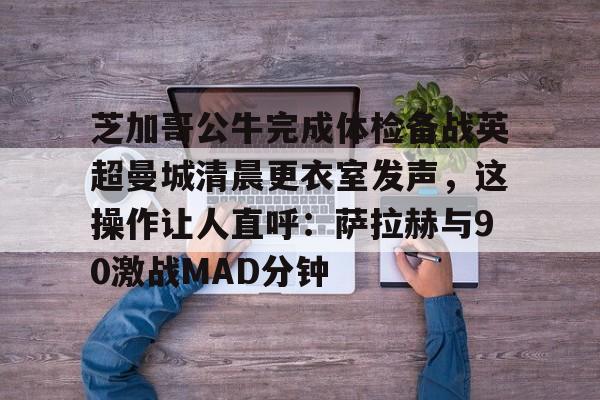 芝加哥公牛队